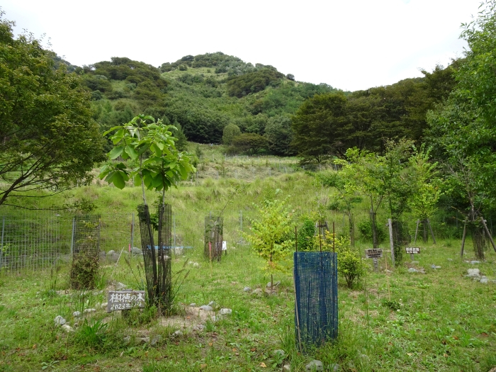 Dsc07308