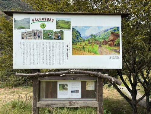 Photo_5