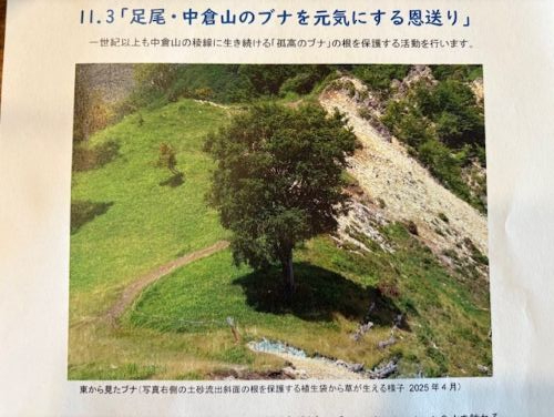 Photo_6