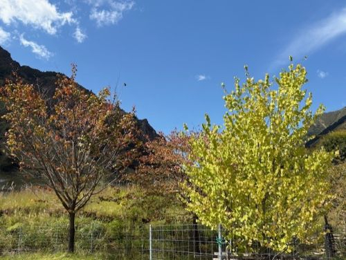 Photo_10
