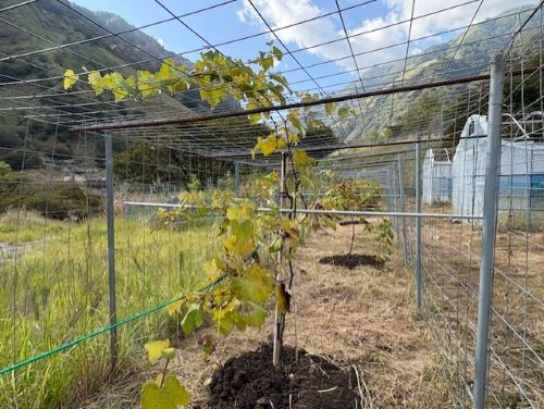 Photo_14