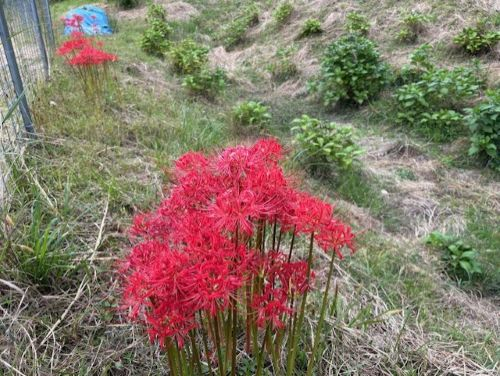 Photo_22
