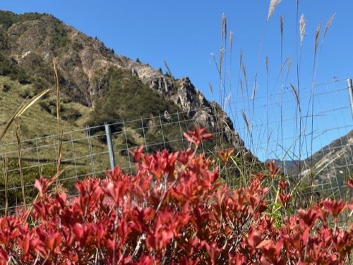 Photo_6