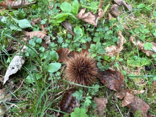 Photo_5