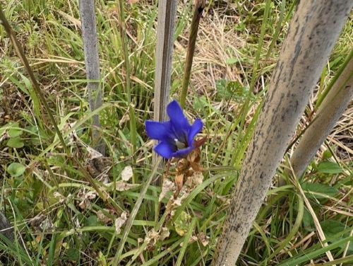 Photo_8