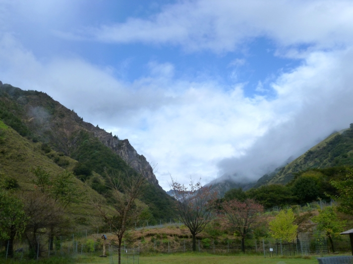 P10005401