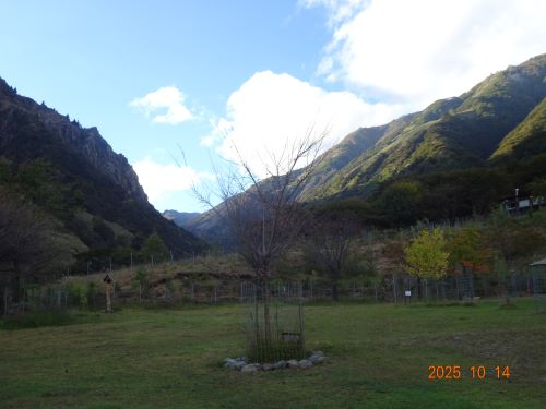 Dsc00612