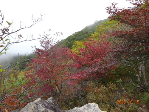 Dsc00620
