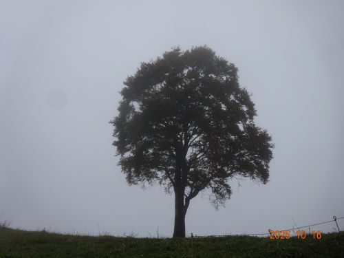 Dsc00632