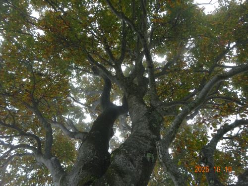 Dsc00636