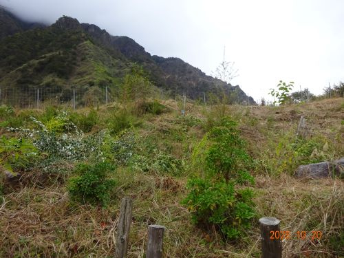 Dsc00654