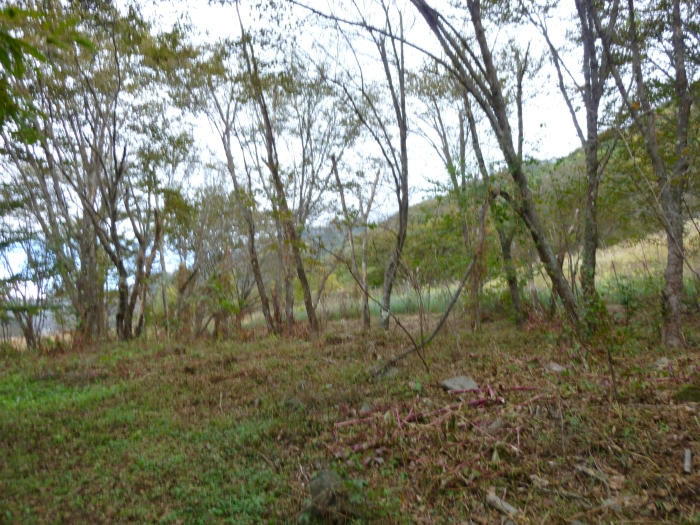 P1000801 P1000801