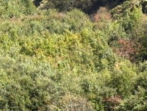 Photo_2 Photo_2