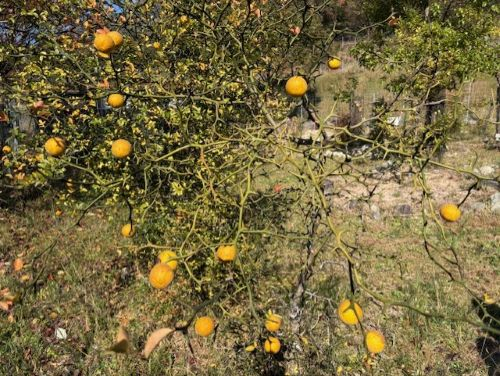 Photo_6 Photo_6