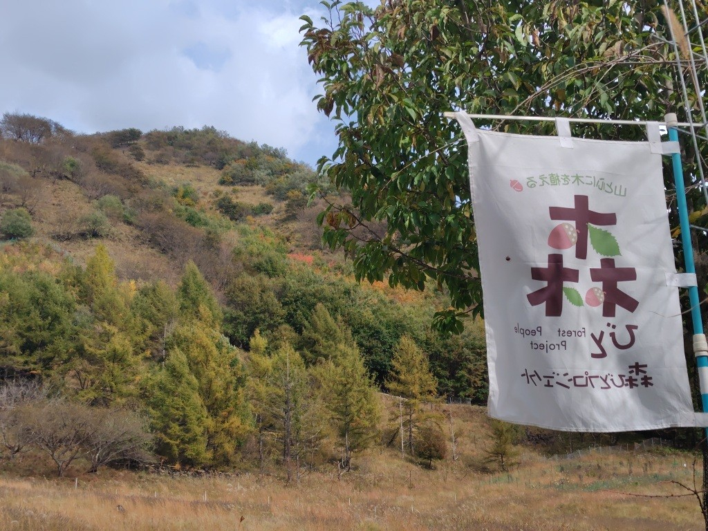 251102114551279 251102114551279