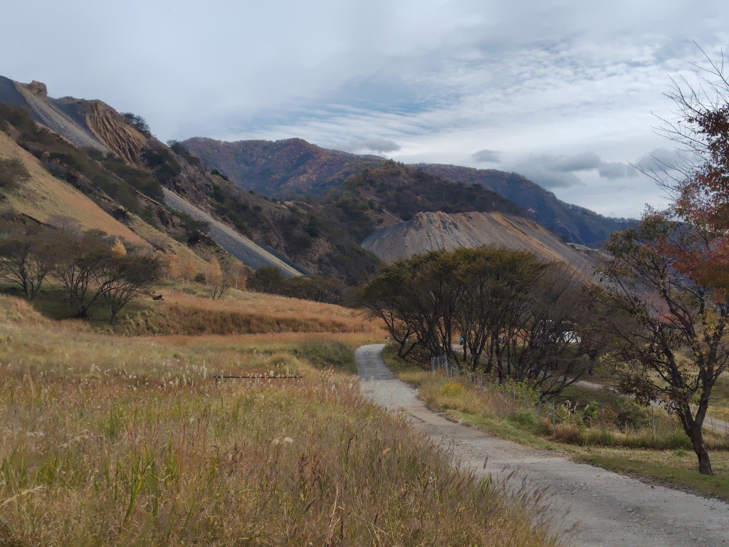 251102114637741 251102114637741