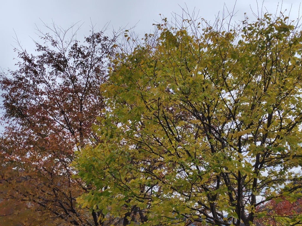 251102121640720 251102121640720