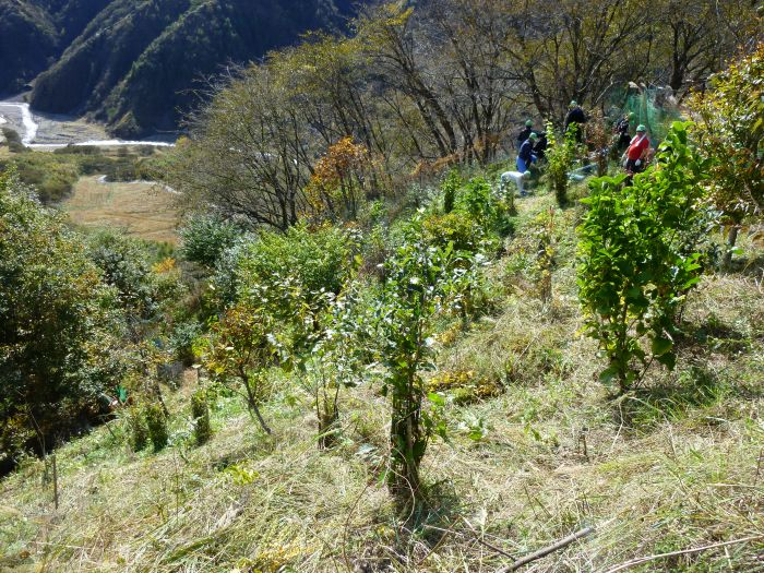 P1010231_2 P1010231_2