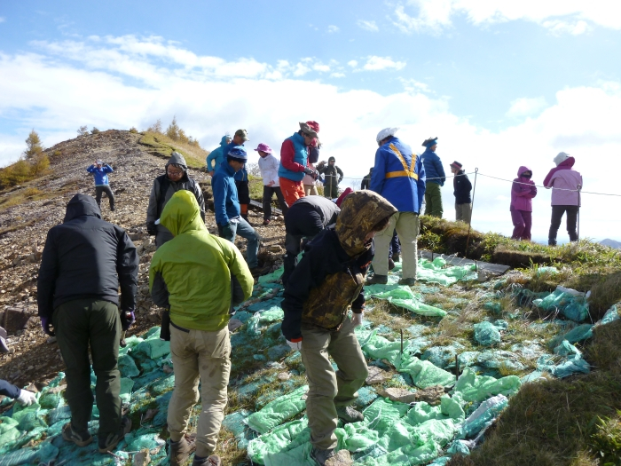 P1010392_2 P1010392_2