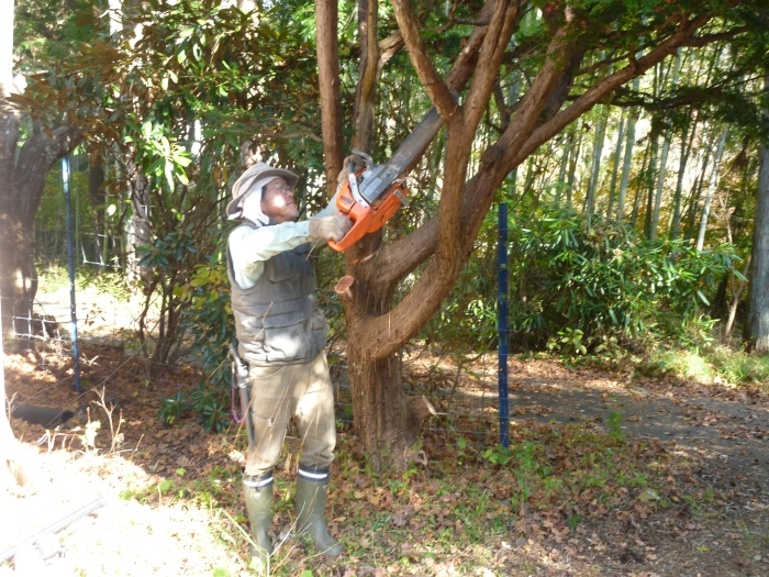 P1010576_2 P1010576_2