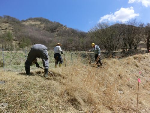 Cimg0274_2 Cimg0274_2