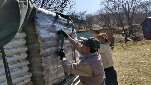 Dsc_0375_2 Dsc_0375_2