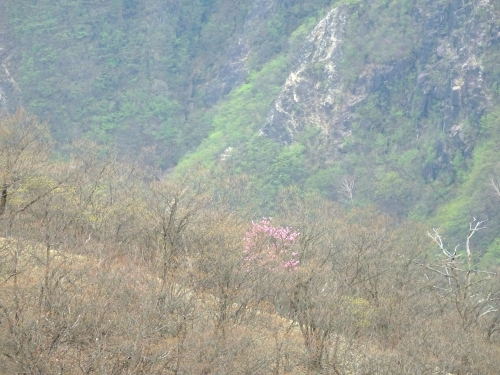 Dsc09292