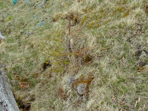 Dsc093141