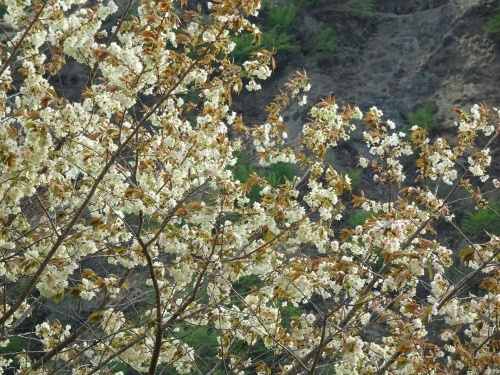 Dsc09449