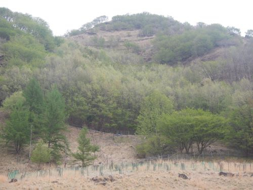 Dscn9673