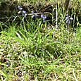 Cimg0066