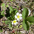 Cimg0074