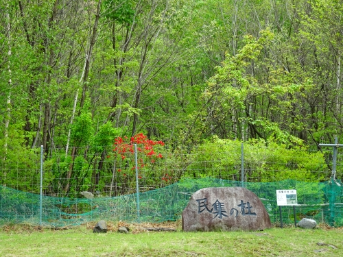 Dsc09487