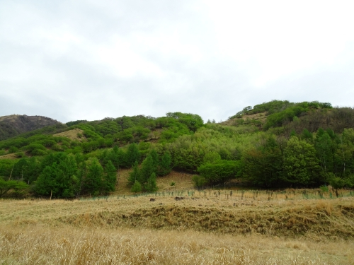 Dsc09490