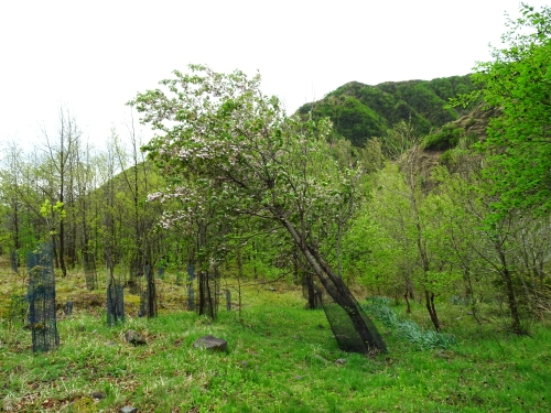Dsc09526