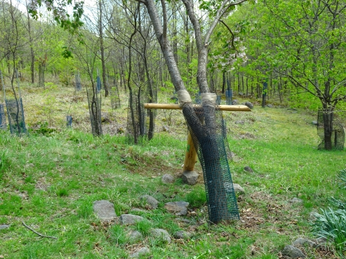 Dsc09644
