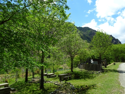 Dsc00069
