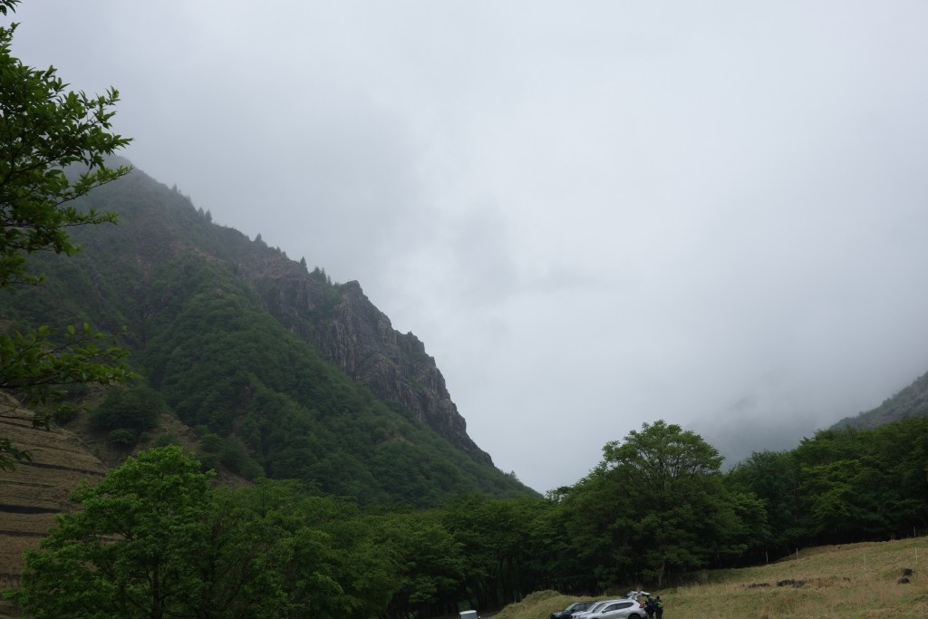 R0008239