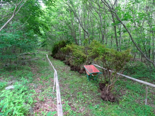 Dsc02313