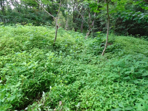Dsc02318