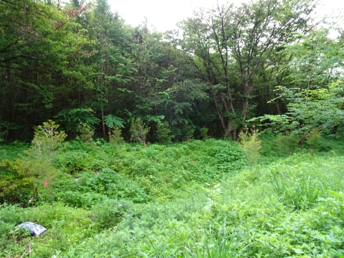 Dsc02330