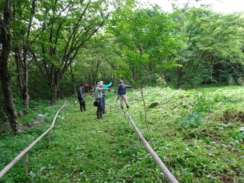 Dsc02365
