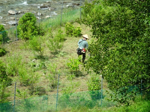 Dsc03274_2