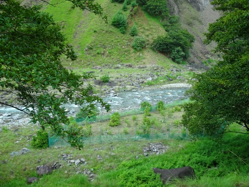 Dsc03277_2