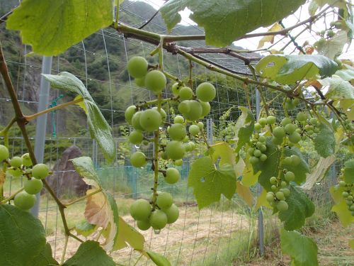 Photo_2 Photo_2