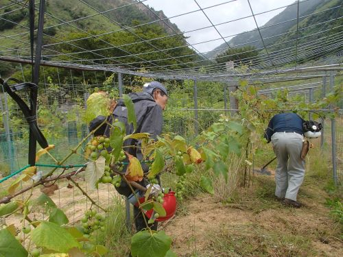 Photo_4