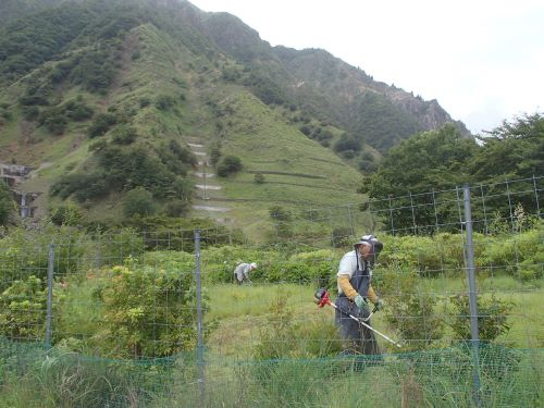 Photo_8 Photo_8