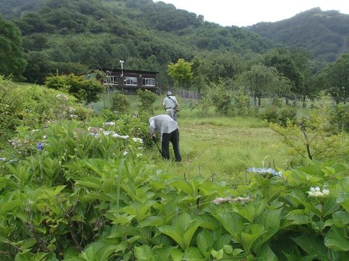 Photo_9