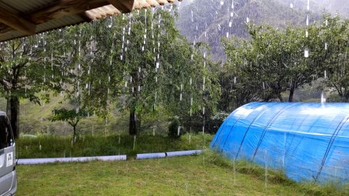 Photo_11