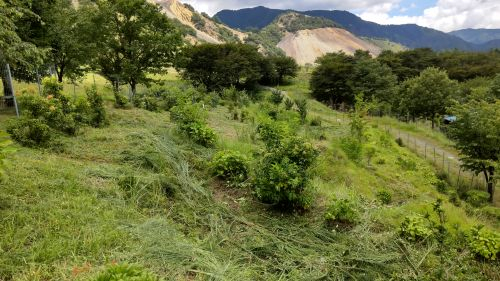 Photo_6